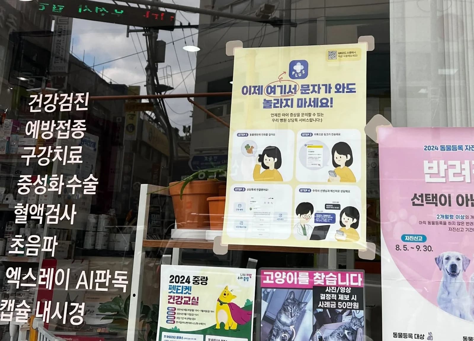 "진료 중 울리는 전화, 이제 두렵지 않습니다" 30년 차 수의사의 늘펫