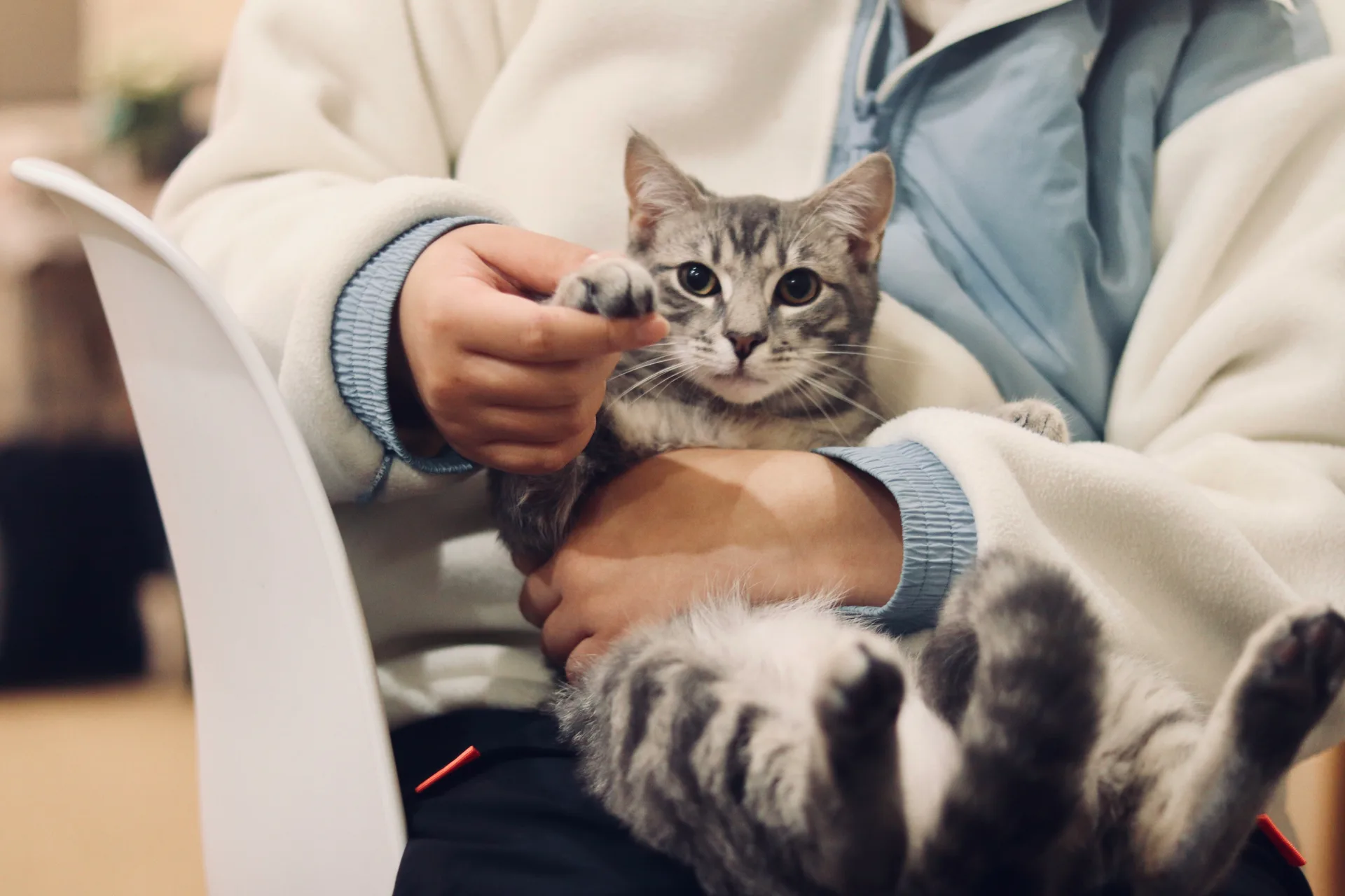 동물병원 문의 전화를 AI로 효율적으로 관리하는 방법 🥰