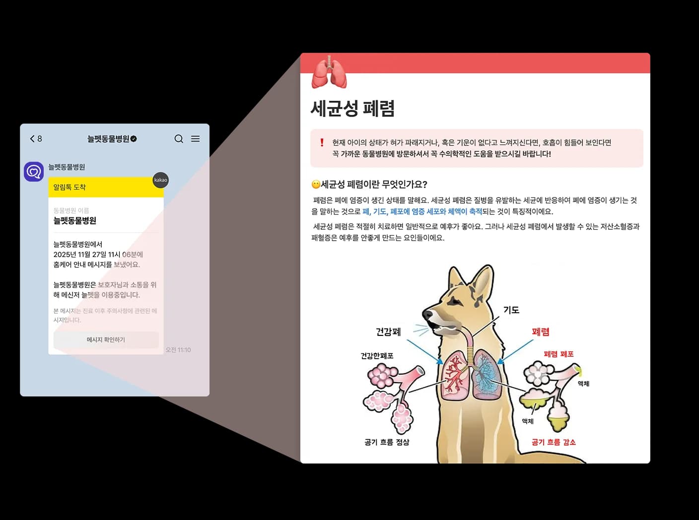 동물병원 전화 솔루션으로 부재중 전화를 매출로 전환하는 방법